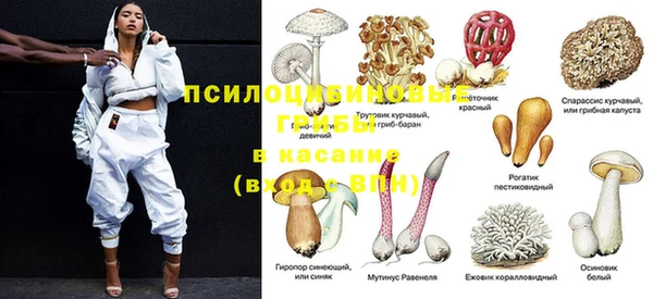 дживик Володарск